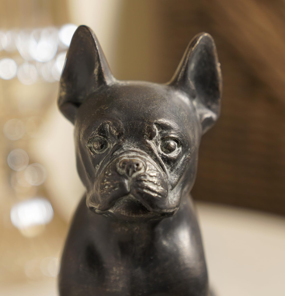 Black Dog Vastu: What It Means & Why You Should Have One in Your Home